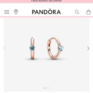 Pandora Huggie Earrings